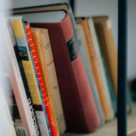 The Maze ティラナ