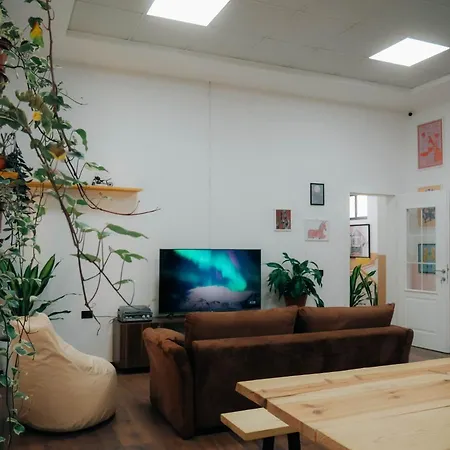 The Maze * ティラナ