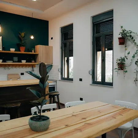 The Maze ティラナ