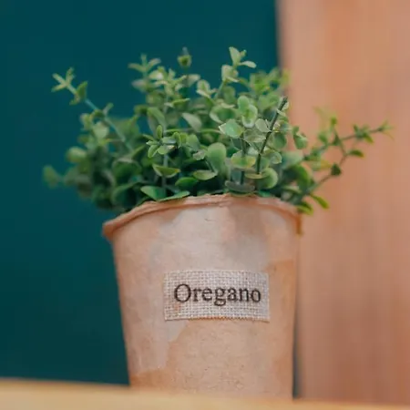 The Maze ティラナ