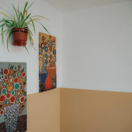 ホステル The Maze ティラナ