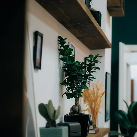 The Maze ホステル *