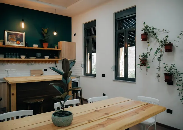 The Maze טיראנה