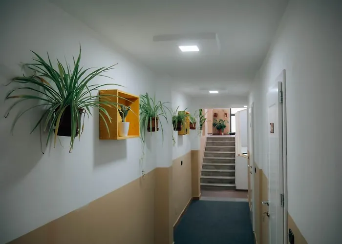 The Maze טיראנה