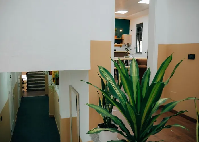 The Maze אכסניה *