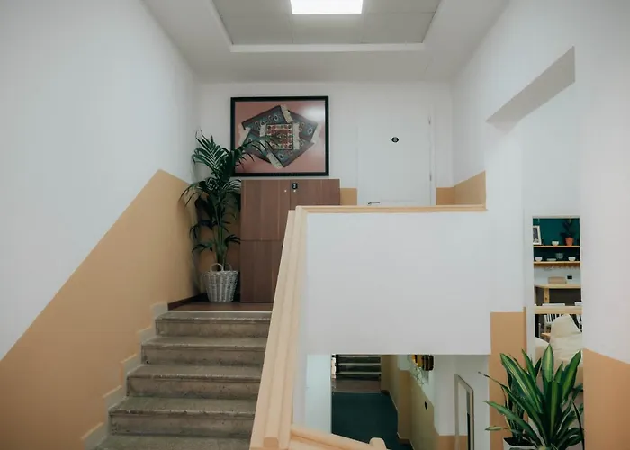 بيت شباب The Maze تيرانا