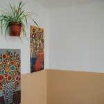 Hostel The Maze Tirana