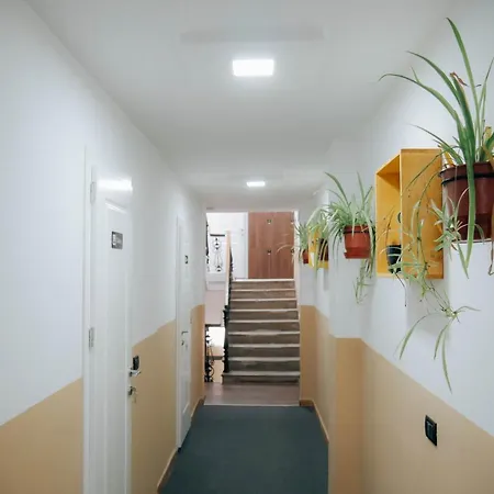 אכסניה The Maze *