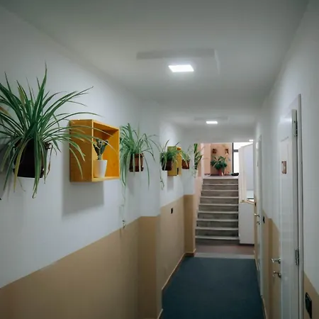 The Maze טיראנה