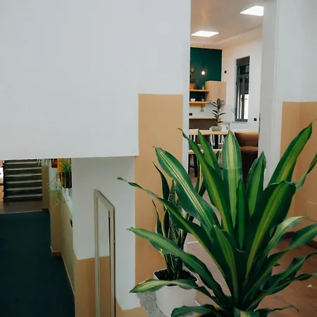 The Maze Hostel *