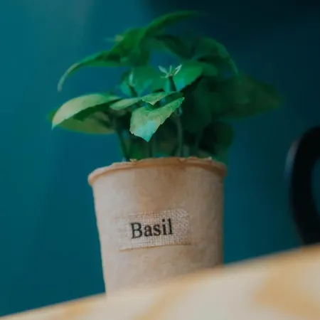 Auberge de jeunesse The Maze *